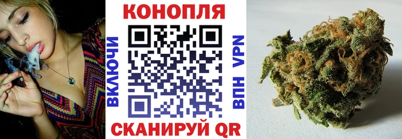 наркотики  Трёхгорный  Каннабис тримм 